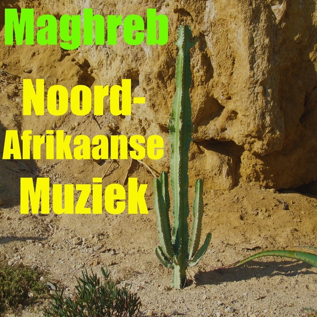 Noord-afrikaanse muziek