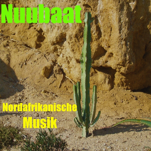 Couverture de Nordafrikanische musik