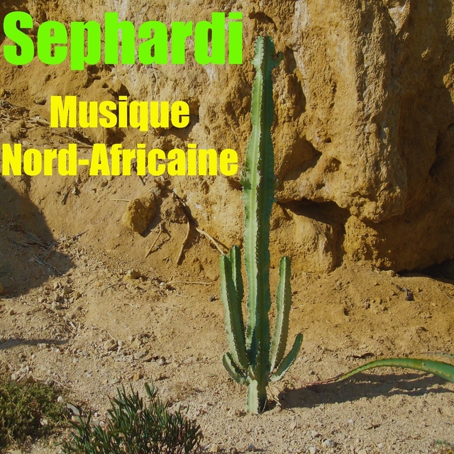 Musique nord-africaine