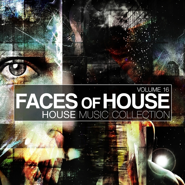 Couverture de Faces of House, Vol. 16