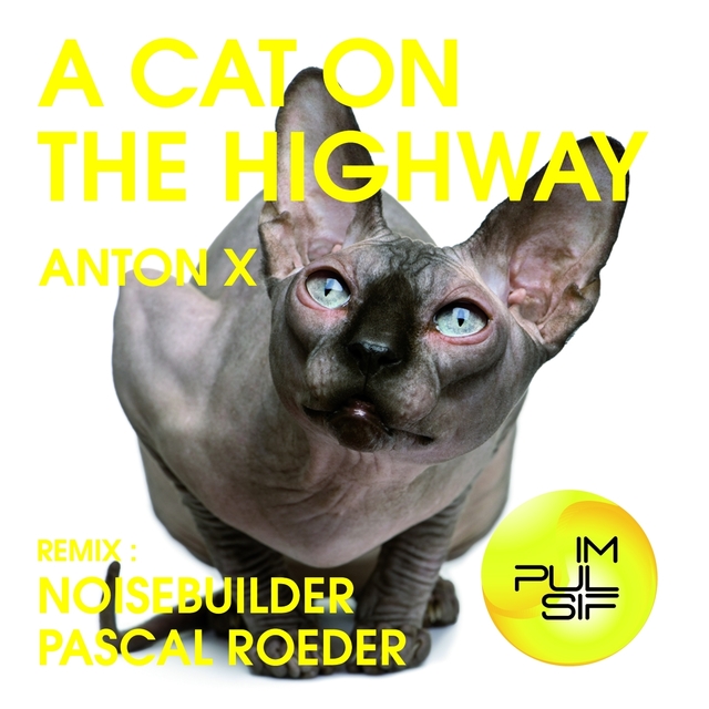 Couverture de A Cat On the Highway