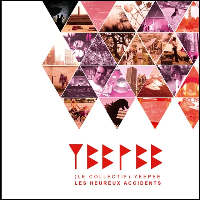 Couverture de Les heureux accidents