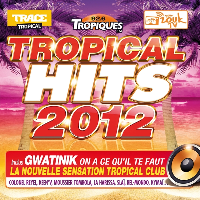 Couverture de Tropical Hits 2012