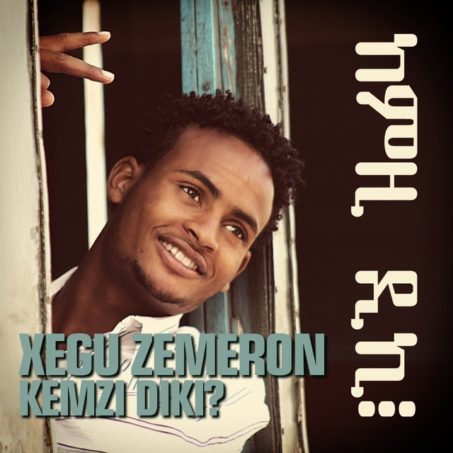 Kemzi Diki