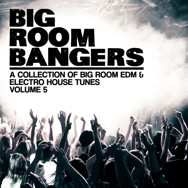 Couverture de Bigroom Bangers, Vol. 5