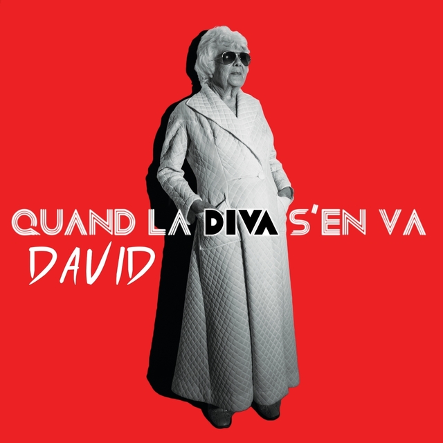 Couverture de David