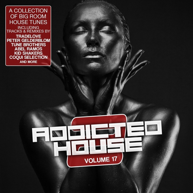 Couverture de Addicted 2 House, Vol. 17