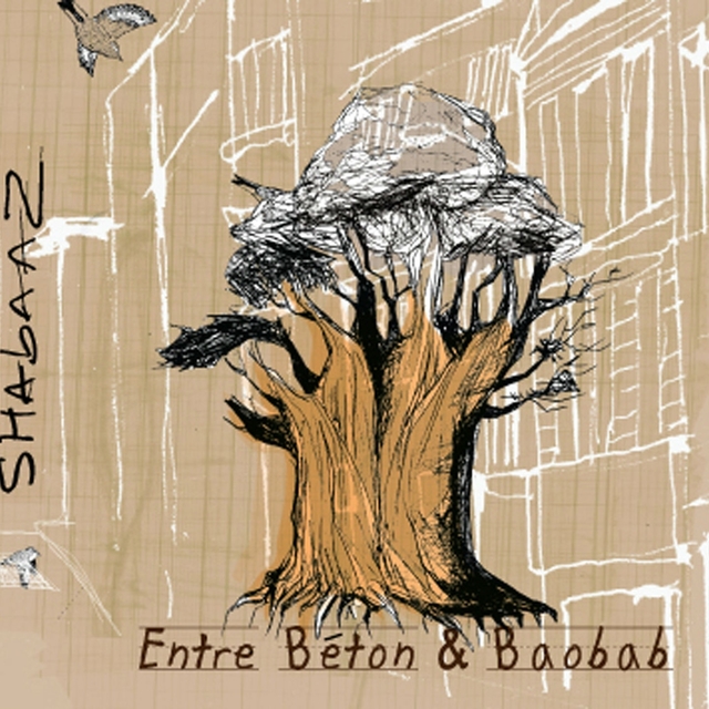 Entre Béton & Baobab