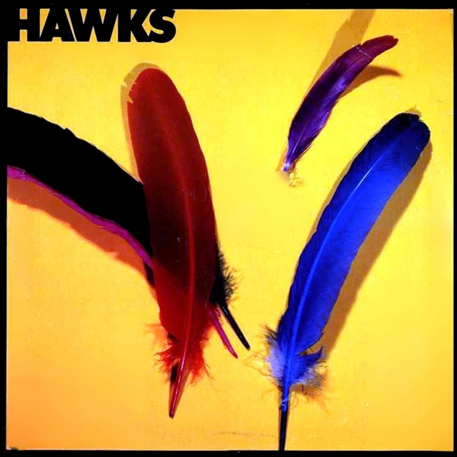 Couverture de The Hawks