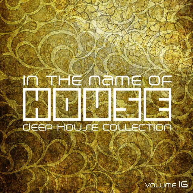 In The Name Of House, Vol. 16