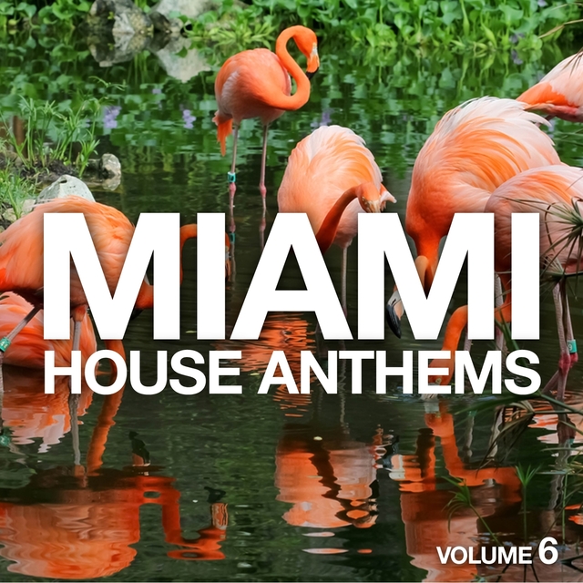 Couverture de Miami House Anthems, Vol. 6