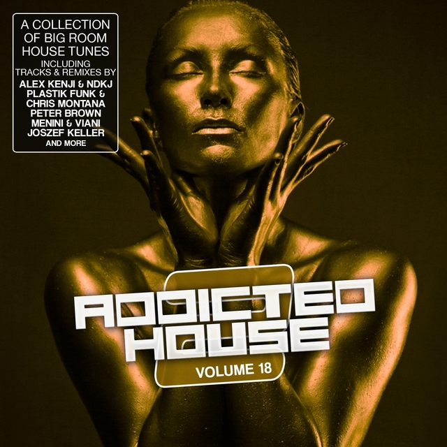 Couverture de Addicted 2 House, Vol. 18