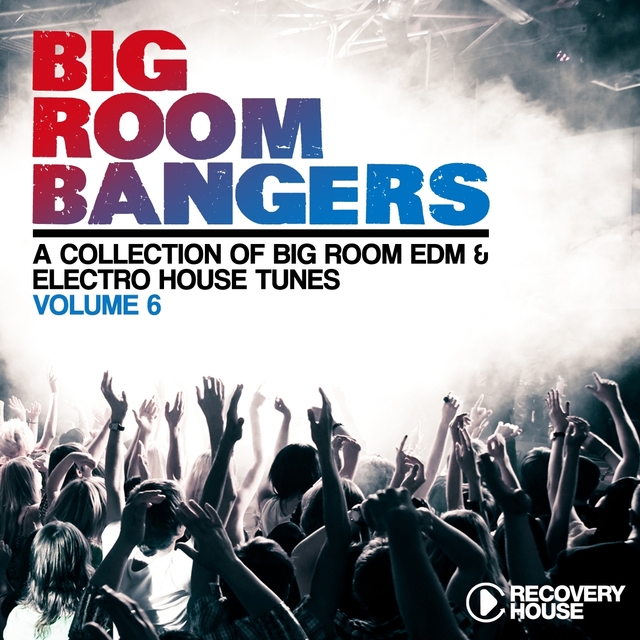 Bigroom Bangers, Vol. 6