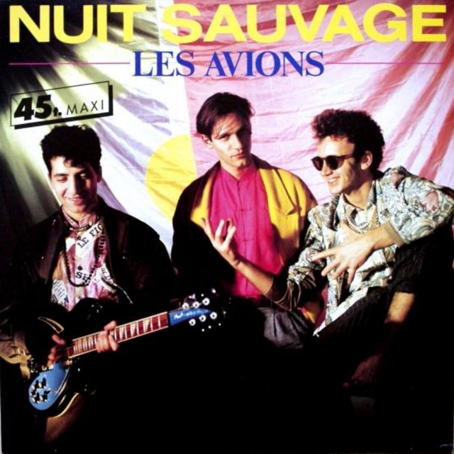 Nuit sauvage