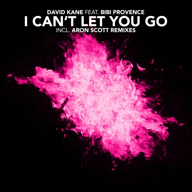 Couverture de I Can't Let You Go