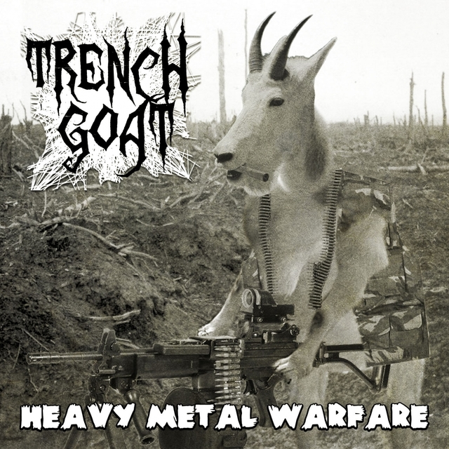 Couverture de Heavy Metal Warfare