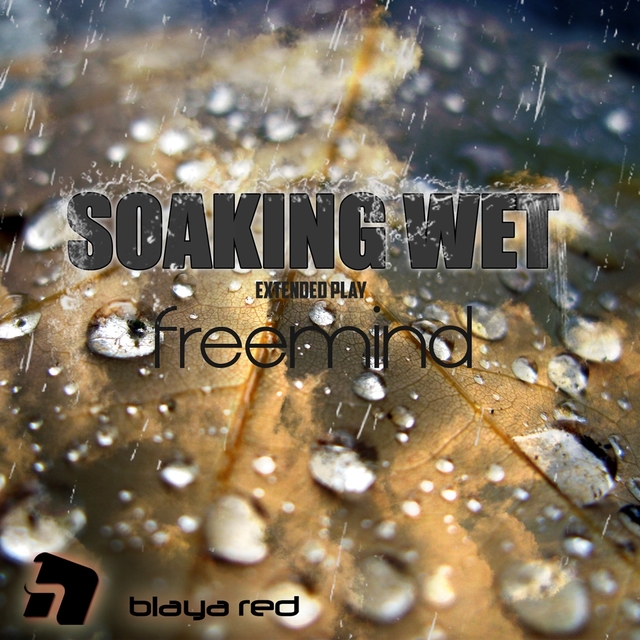 Couverture de Soaking Wet EP