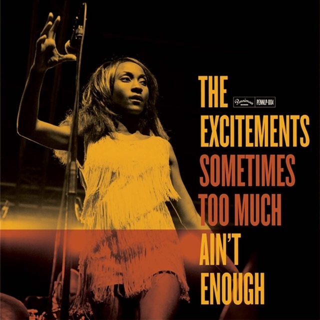 Couverture de Sometimes Too Much Ain't Enough