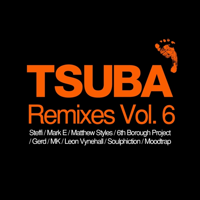 Couverture de Tsuba Remixes, Vol. 6