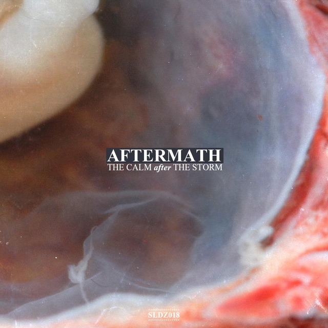 Couverture de Aftermath