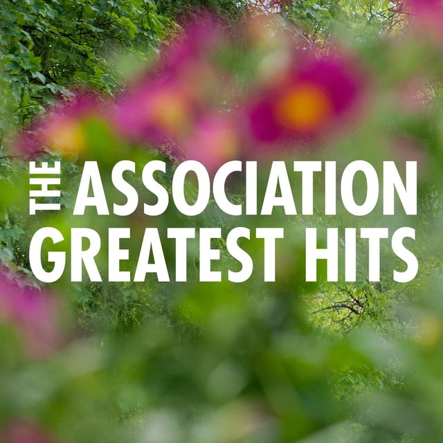 Couverture de The Association Greatest Hits