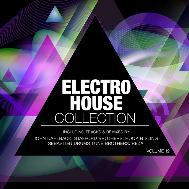 Couverture de Electro House Collection, Vol. 12