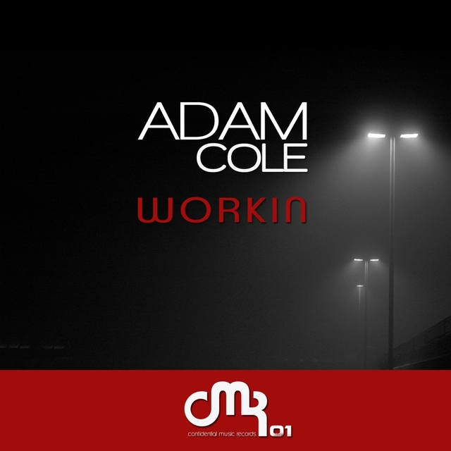 Couverture de Workin