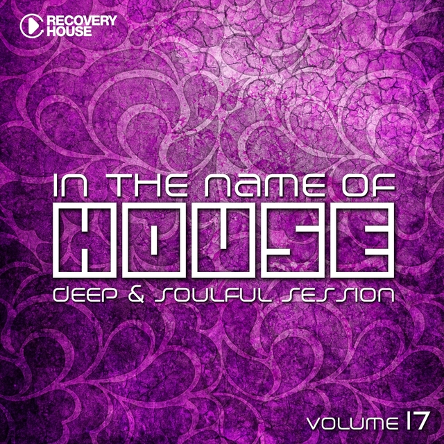 In the Name of House, Vol. 17