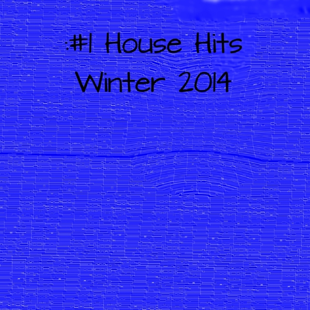 #1 House Hits  Winter 2014
