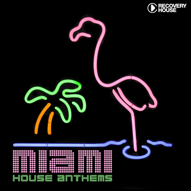 Miami House Anthems, Vol. 8