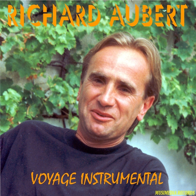 Couverture de Voyage instrumental