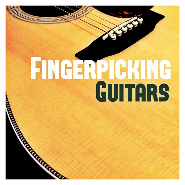 Couverture de Fingerpicking Guitars