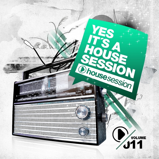 Couverture de Yes, It's a Housesession, Vol. 11