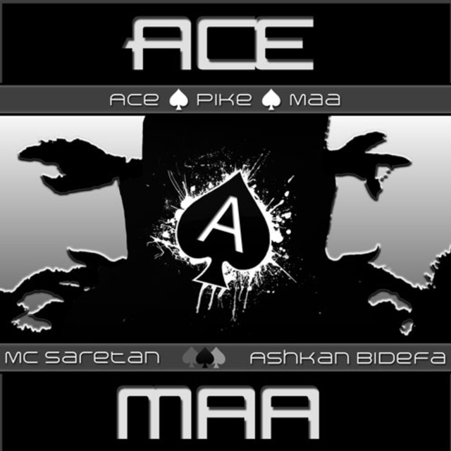 Couverture de Ace pike maa