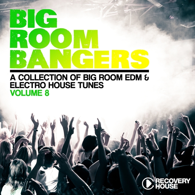 Big Room Bangers, Vol. 8