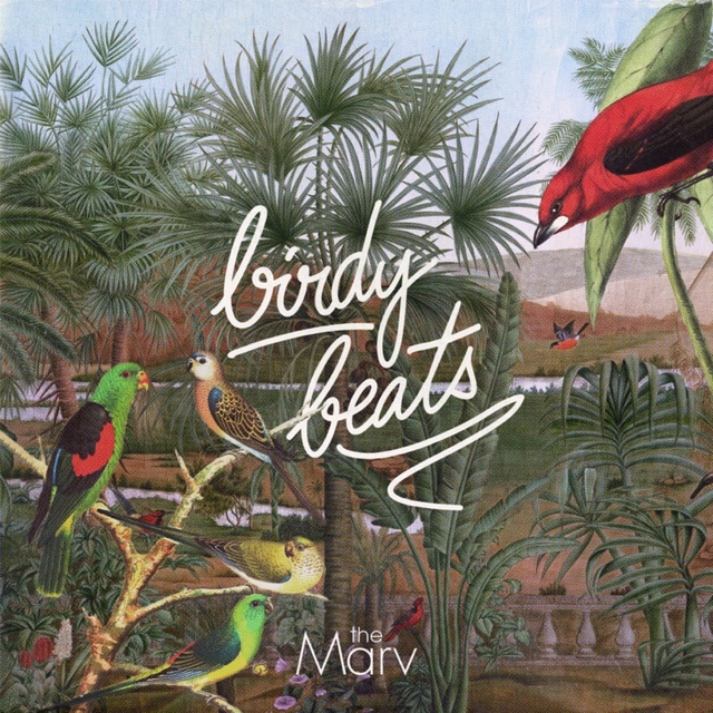 Couverture de Birdy Beats