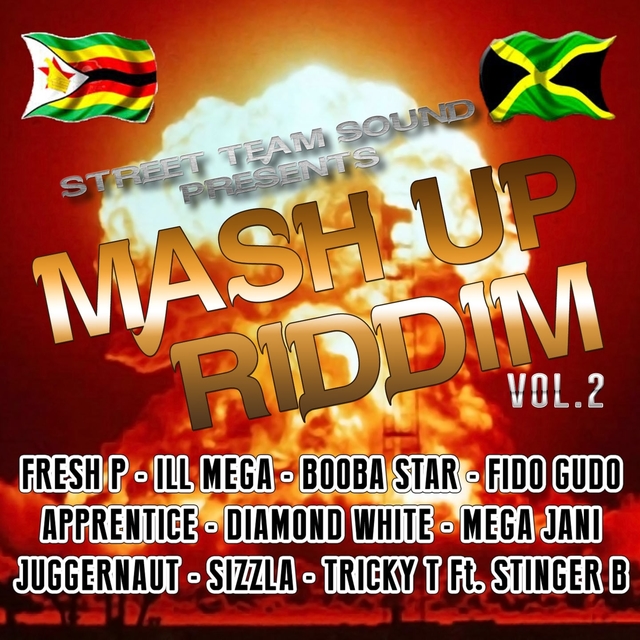 Couverture de Mash Up Riddim, Vol. 2