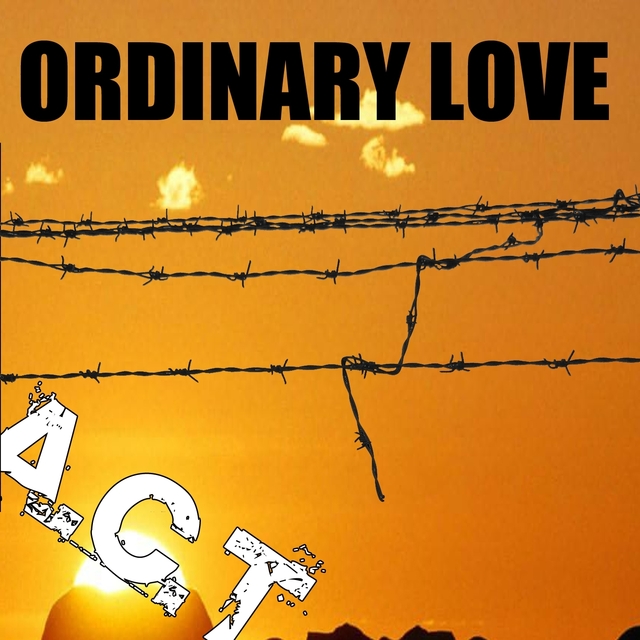 Ordinary Love