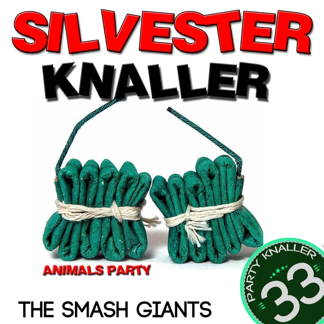 Couverture de Silvester Knaller