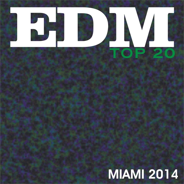 Couverture de Edm Top 20 Miami 2014