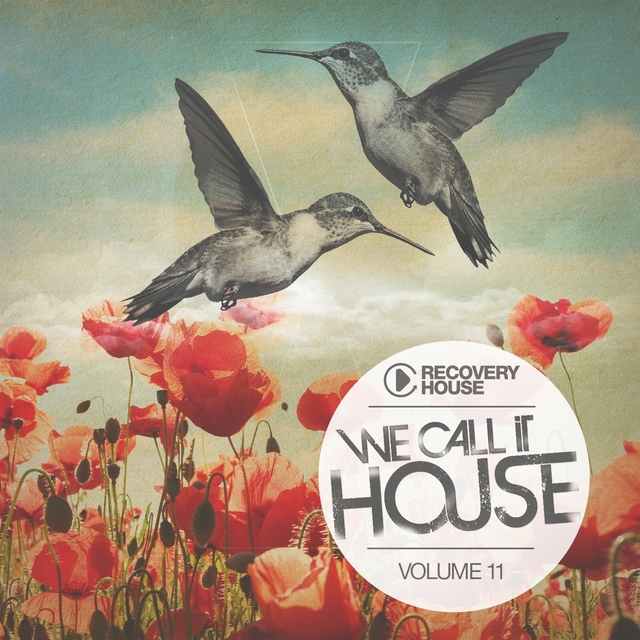 Couverture de We Call It House, Vol. 11