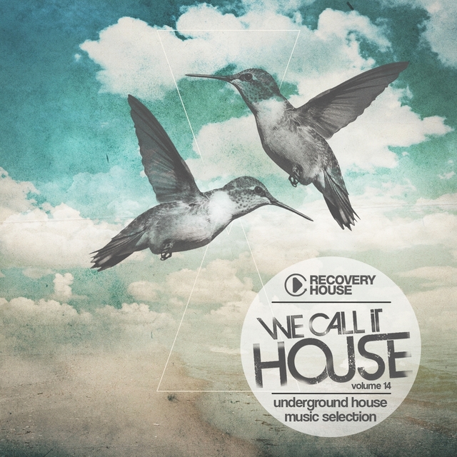 Couverture de We Call It House, Vol. 14