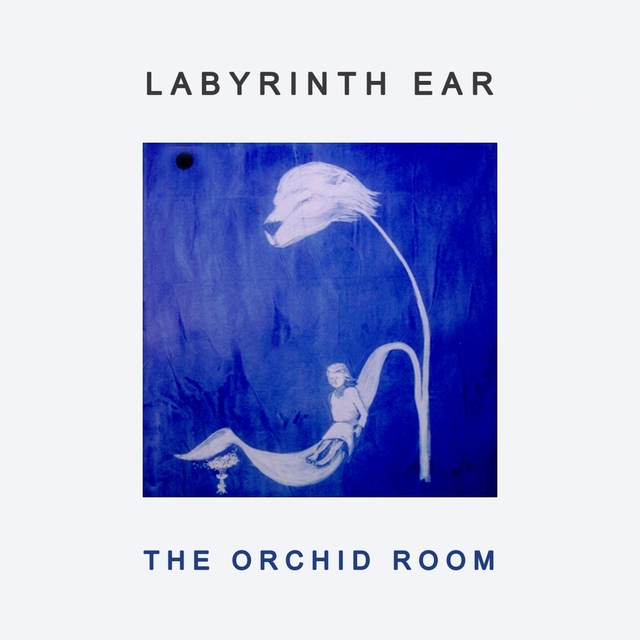 Couverture de The Orchid Room