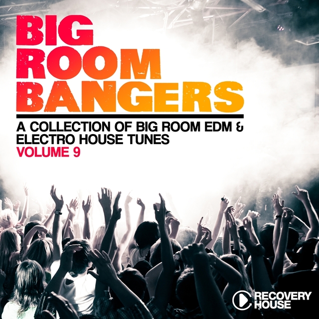 Big Room Bangers, Vol. 9