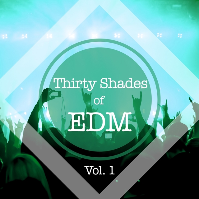 Couverture de Thirty Shades of EDM, Vol. 1