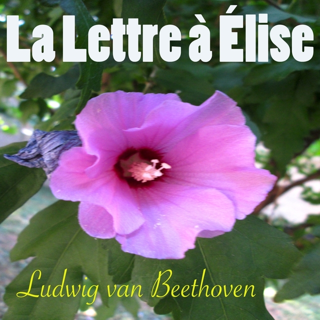 Beethoven: La lettre à Elise, WoO 59