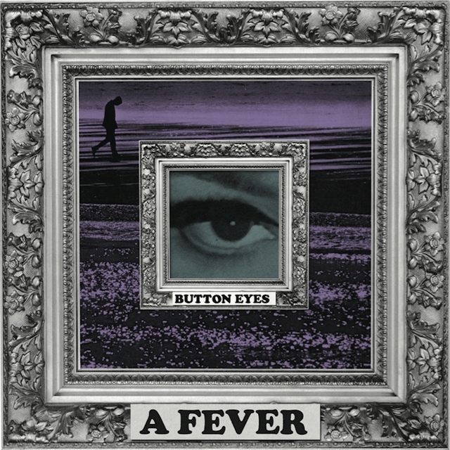 Couverture de A Fever