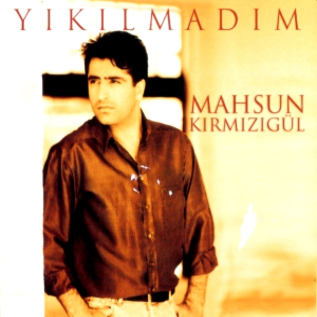 Couverture de Yıkılmadım