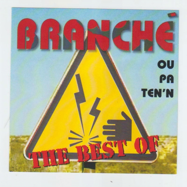 Couverture de Branché Best Of