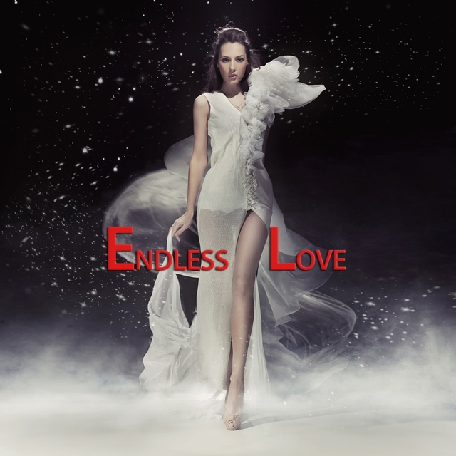 Couverture de Endless Love